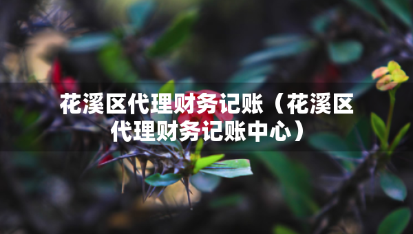 花溪區(qū)代理財務(wù)記賬（花溪區(qū)代理財務(wù)記賬中心）