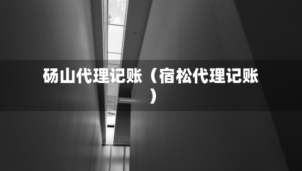 碭山代理記賬（宿松代理記賬）