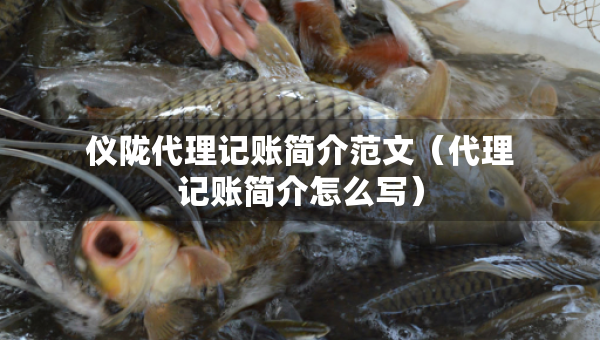 儀隴代理記賬簡介范文（代理記賬簡介怎么寫）