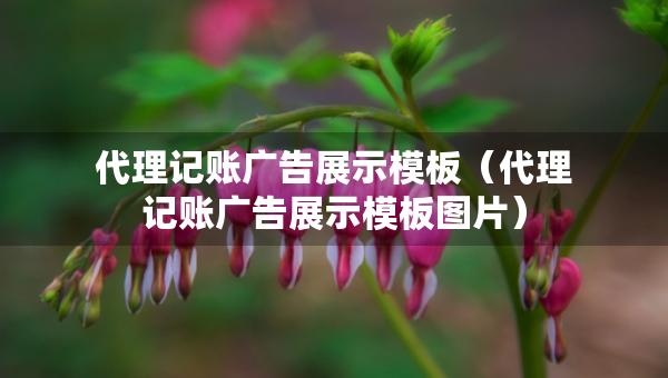 代理記賬廣告展示模板（代理記賬廣告展示模板圖片）
