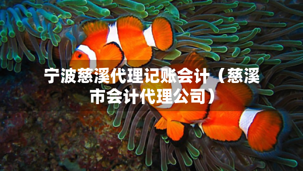 寧波慈溪代理記賬會計（慈溪市會計代理公司）