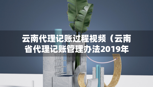 云南代理記賬過(guò)程視頻（云南省代理記賬管理辦法2019年修訂版）