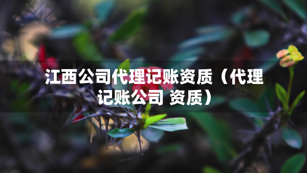 江西公司代理記賬資質(zhì)（代理記賬公司 資質(zhì)）