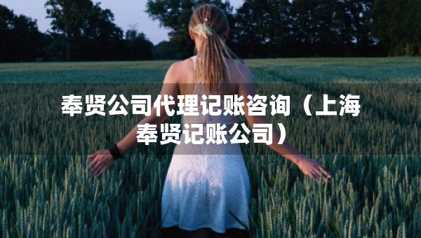 奉賢公司代理記賬咨詢（上海奉賢記賬公司）