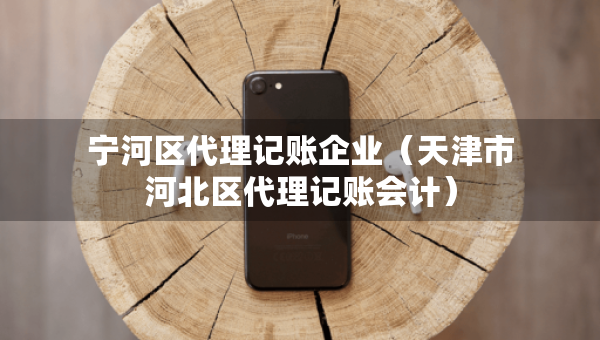 寧河區(qū)代理記賬企業(yè)（天津市河北區(qū)代理記賬會(huì)計(jì)）