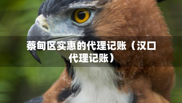 蔡甸區(qū)實(shí)惠的代理記賬（漢口代理記賬）