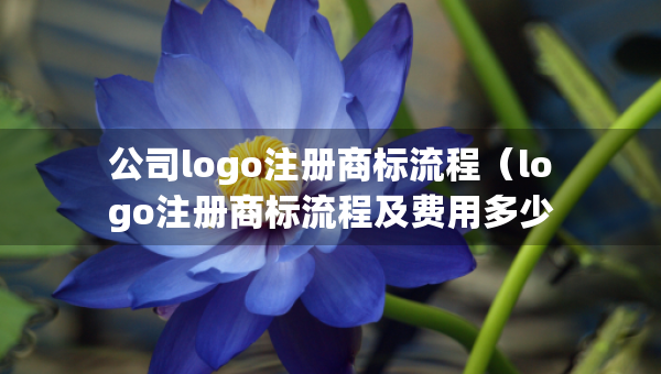 公司logo注冊商標(biāo)流程（logo注冊商標(biāo)流程及費(fèi)用多少）