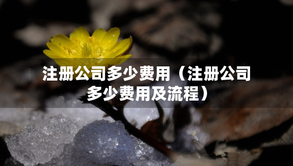 注冊公司多少費用（注冊公司多少費用及流程）