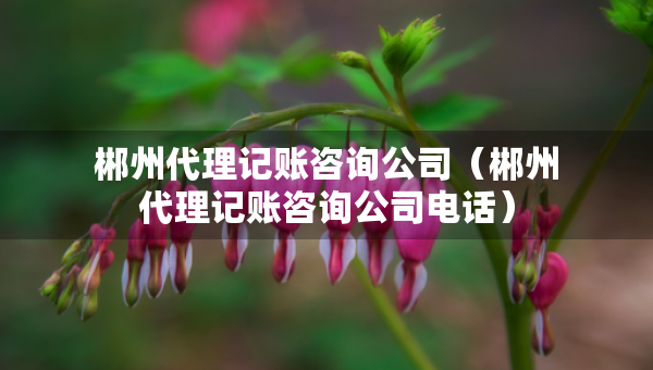 郴州代理記賬咨詢公司（郴州代理記賬咨詢公司電話）