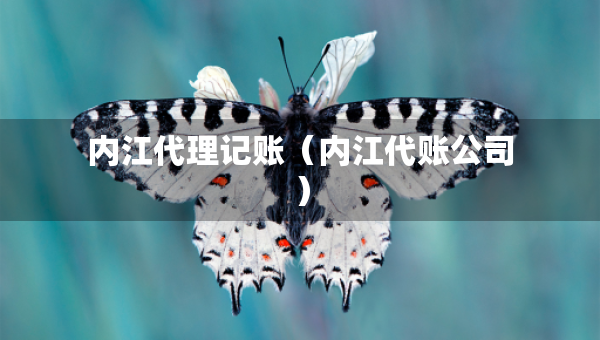 內(nèi)江代理記賬（內(nèi)江代賬公司）