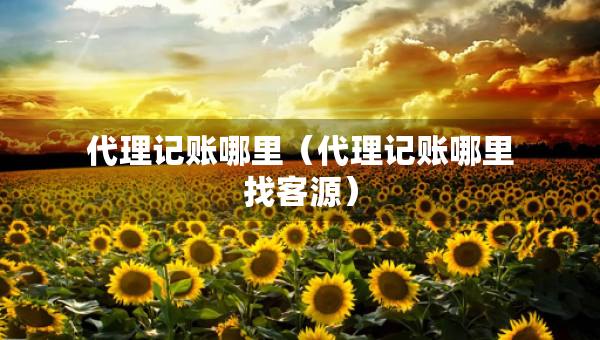 代理記賬哪里（代理記賬哪里找客源）