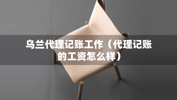 烏蘭代理記賬工作（代理記賬的工資怎么樣）