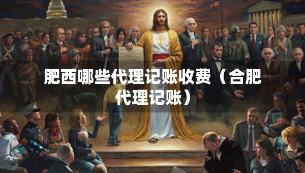 肥西哪些代理記賬收費（合肥代理記賬）