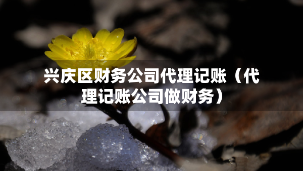 興慶區(qū)財(cái)務(wù)公司代理記賬（代理記賬公司做財(cái)務(wù)）