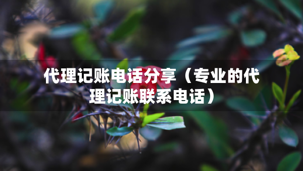 代理記賬電話分享（專業(yè)的代理記賬聯(lián)系電話）