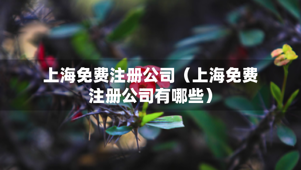 上海免費(fèi)注冊(cè)公司（上海免費(fèi)注冊(cè)公司有哪些）