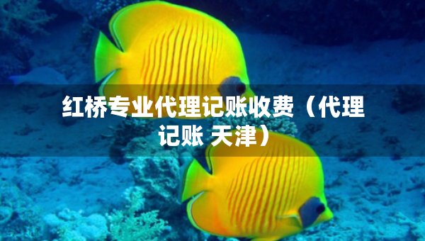 紅橋?qū)I(yè)代理記賬收費(fèi)（代理記賬 天津）