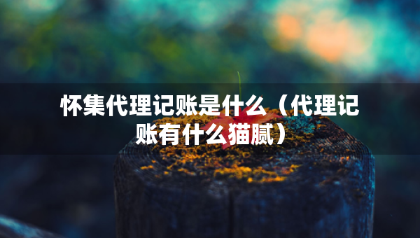 懷集代理記賬是什么（代理記賬有什么貓膩）