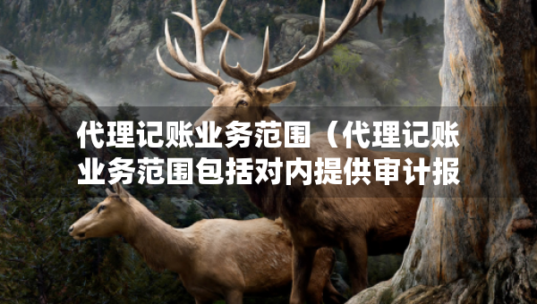 代理記賬業(yè)務(wù)范圍（代理記賬業(yè)務(wù)范圍包括對內(nèi)提供審計報告嗎）