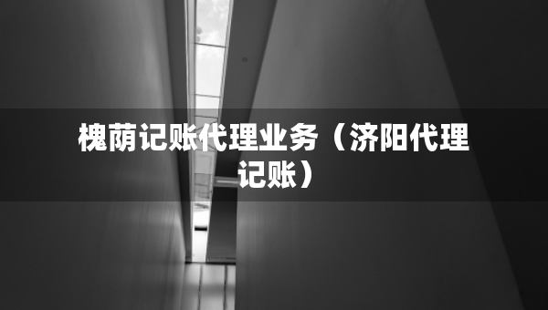 槐蔭記賬代理業(yè)務(wù)（濟陽代理記賬）
