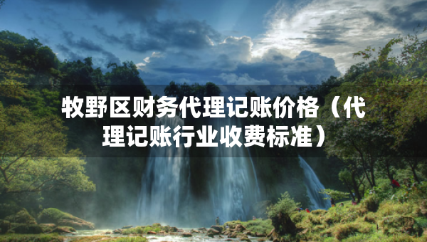 牧野區(qū)財(cái)務(wù)代理記賬價(jià)格（代理記賬行業(yè)收費(fèi)標(biāo)準(zhǔn)）