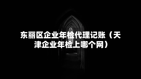 東麗區(qū)企業(yè)年檢代理記賬（天津企業(yè)年檢上哪個(gè)網(wǎng)）