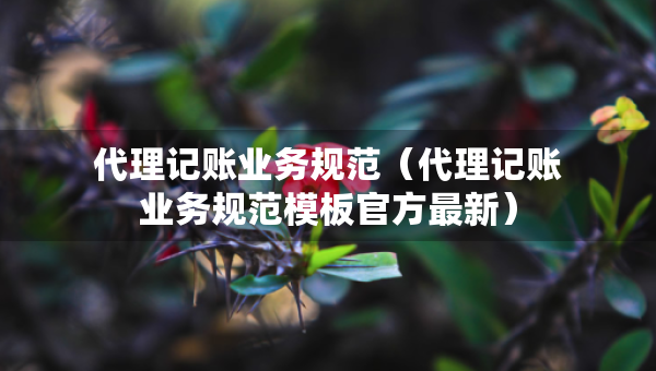 代理記賬業(yè)務(wù)規(guī)范（代理記賬業(yè)務(wù)規(guī)范模板官方最新）