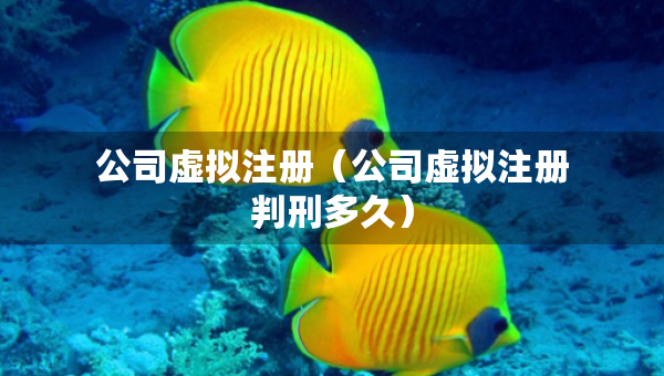公司虛擬注冊(cè)（公司虛擬注冊(cè)判刑多久）