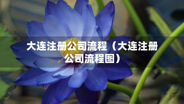 大連注冊公司流程（大連注冊公司流程圖）