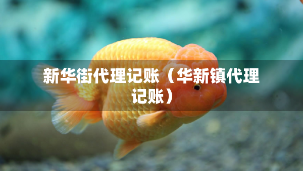 新華街代理記賬（華新鎮(zhèn)代理記賬）