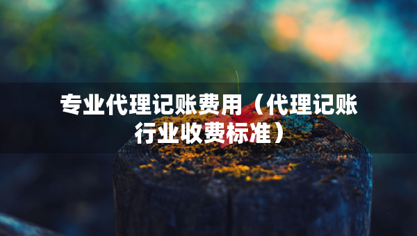 專業(yè)代理記賬費用（代理記賬行業(yè)收費標準）