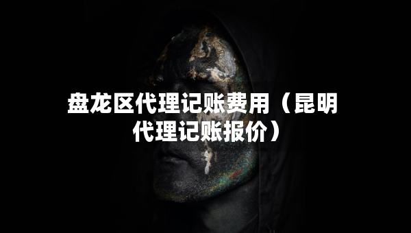 盤龍區(qū)代理記賬費用（昆明 代理記賬報價）