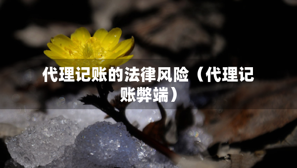 代理記賬的法律風(fēng)險（代理記賬弊端）
