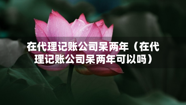 在代理記賬公司呆兩年（在代理記賬公司呆兩年可以嗎）