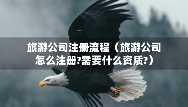 旅游公司注冊流程（旅游公司怎么注冊?需要什么資質(zhì)?）