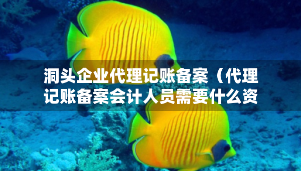 洞頭企業(yè)代理記賬備案（代理記賬備案會(huì)計(jì)人員需要什么資料）