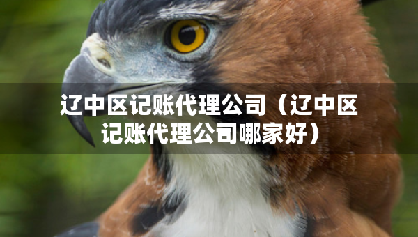 遼中區(qū)記賬代理公司（遼中區(qū)記賬代理公司哪家好）