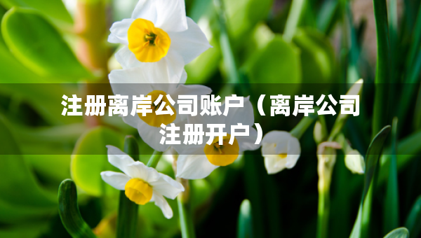 注冊(cè)離岸公司賬戶(hù)（離岸公司注冊(cè)開(kāi)戶(hù)）