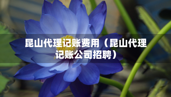 昆山代理記賬費(fèi)用（昆山代理記賬公司招聘）