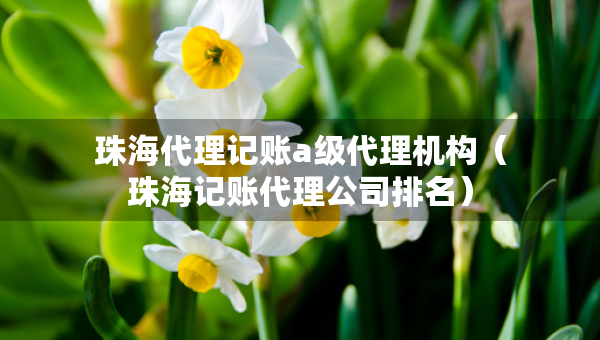 珠海代理記賬a級(jí)代理機(jī)構(gòu)（珠海記賬代理公司排名）