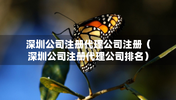 深圳公司注冊(cè)代理公司注冊(cè)（深圳公司注冊(cè)代理公司排名）