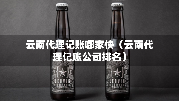 云南代理記賬哪家快（云南代理記賬公司排名）