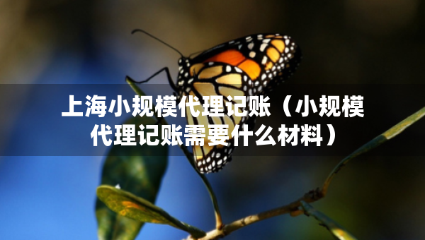 上海小規(guī)模代理記賬（小規(guī)模代理記賬需要什么材料）