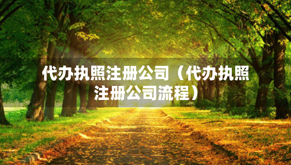 代辦執(zhí)照注冊(cè)公司（代辦執(zhí)照注冊(cè)公司流程）