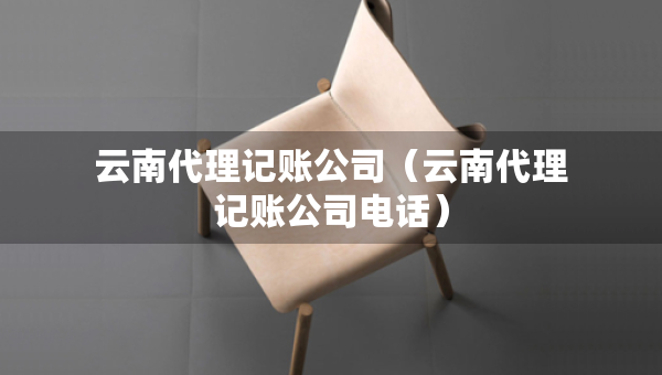 云南代理記賬公司（云南代理記賬公司電話）