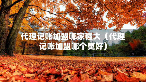 代理記賬加盟哪家強(qiáng)大（代理記賬加盟哪個(gè)更好）