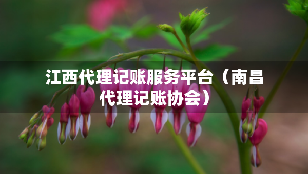 江西代理記賬服務(wù)平臺（南昌代理記賬協(xié)會）