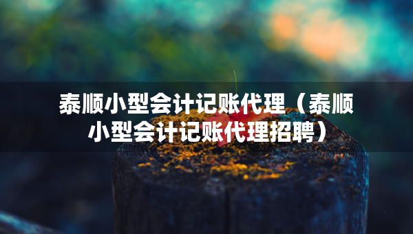 泰順小型會計記賬代理（泰順小型會計記賬代理招聘）