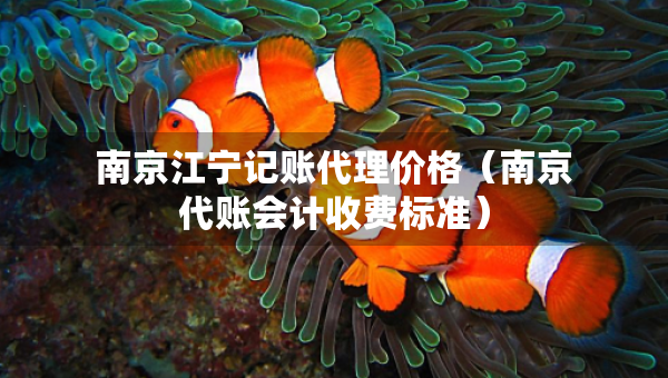 南京江寧記賬代理價(jià)格（南京代賬會(huì)計(jì)收費(fèi)標(biāo)準(zhǔn)）