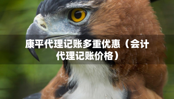 康平代理記賬多重優(yōu)惠（會(huì)計(jì)代理記賬價(jià)格）